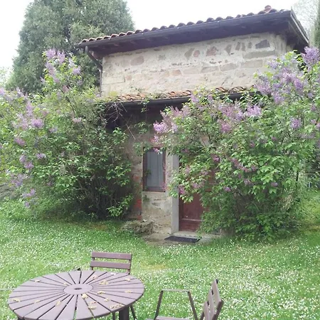 Cozy Welcoming For A Lovely * Castelfranco di Sopra