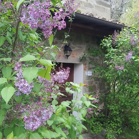 Fattoria Il Praticino - Metato
